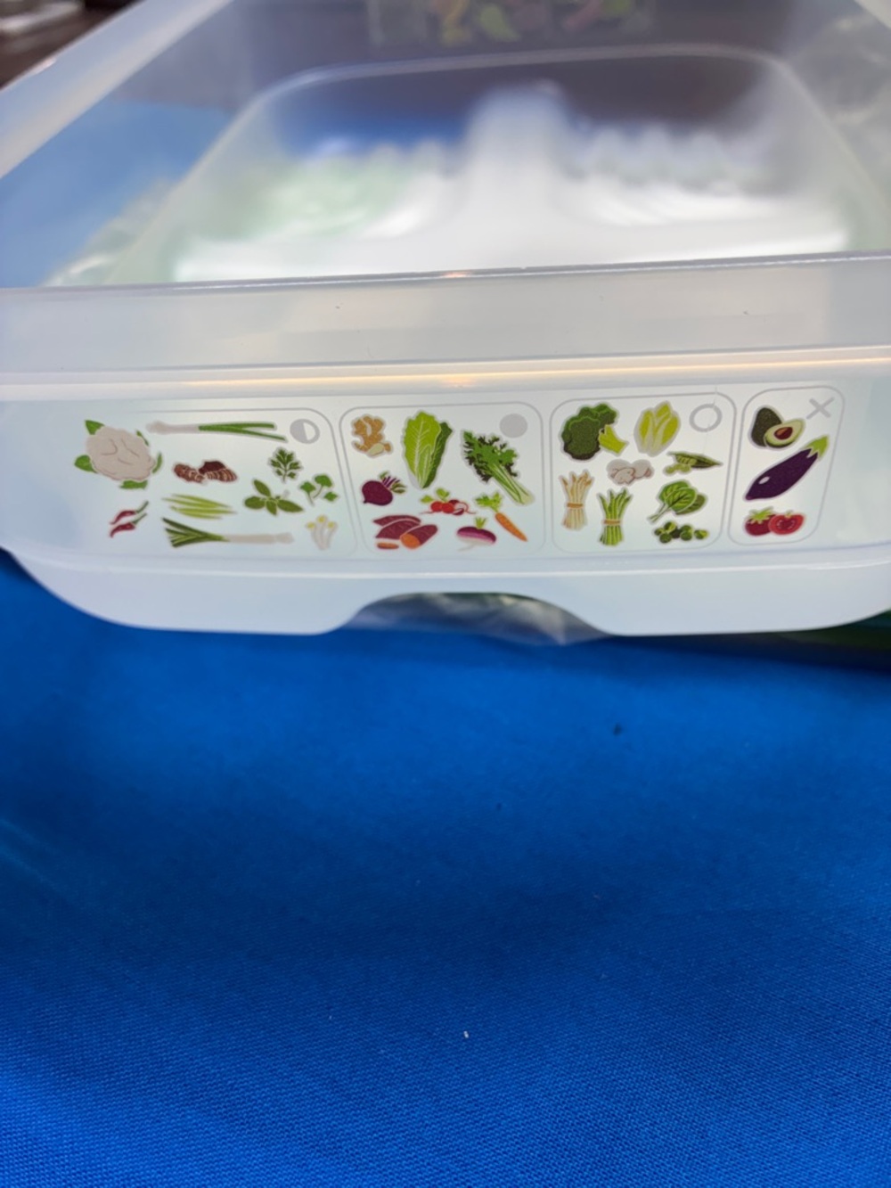 Tupperware Bright Green FridgeSmart Storage Container - Picture 3 of 3